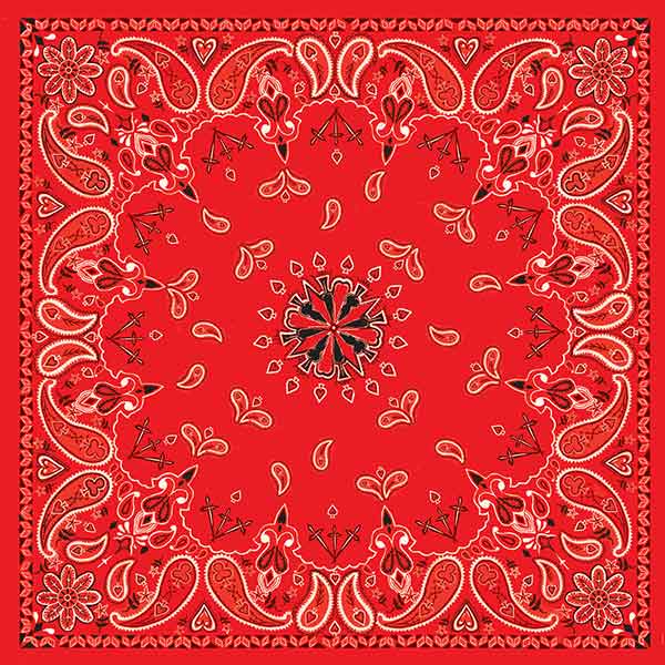 Bandannas 3-en-1 Zan Head Gear - Image 5