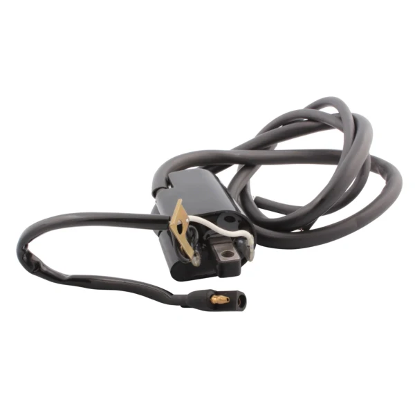 Bobine d'Allumage Externe pour Motoneige - Image 11