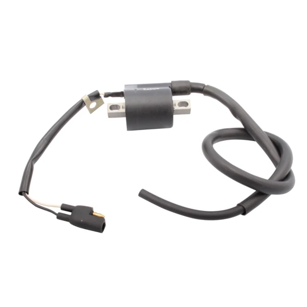 Bobine d'Allumage Externe pour Motoneige - Image 12