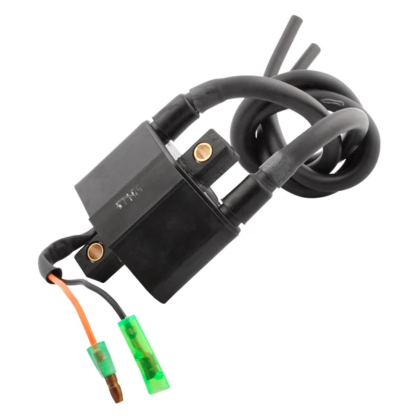 Bobine d'Allumage Externe pour Motoneige - Image 18