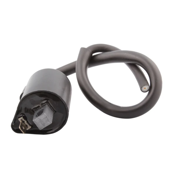 Bobine d'Allumage Externe pour Motoneige - Image 19