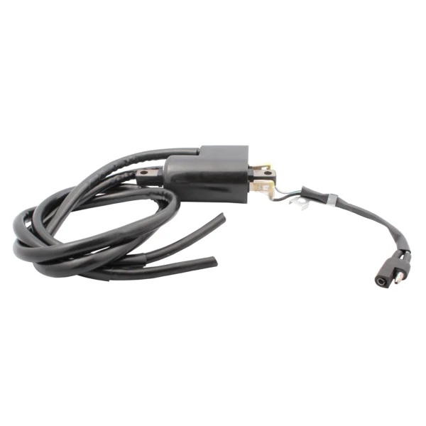 Bobine d'Allumage Externe pour Motoneige - Image 20