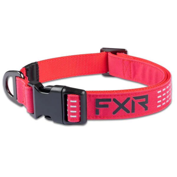 Collier pour Chien - FXR - Image 2