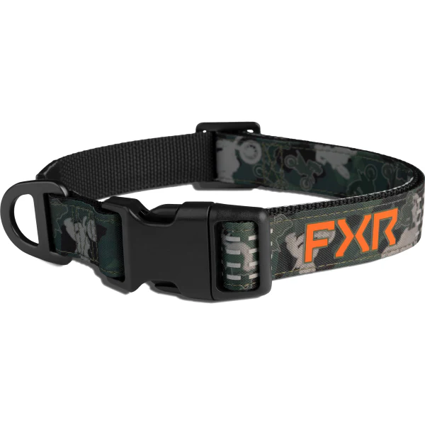 Collier pour Chien - FXR - Image 3