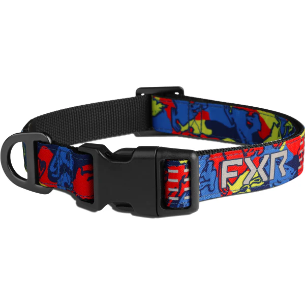 Collier pour Chien - FXR - Image 4