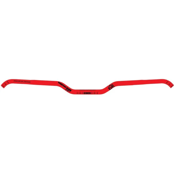 Guidon CFR 29ER - Image 2