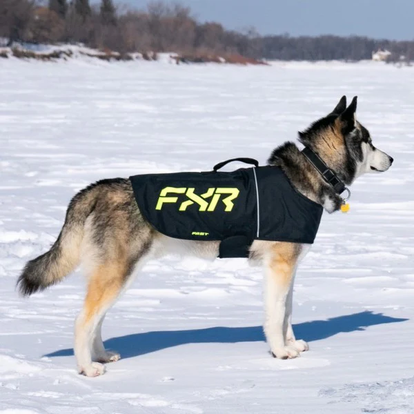 Manteau pour Chien CX - FXR - Image 7