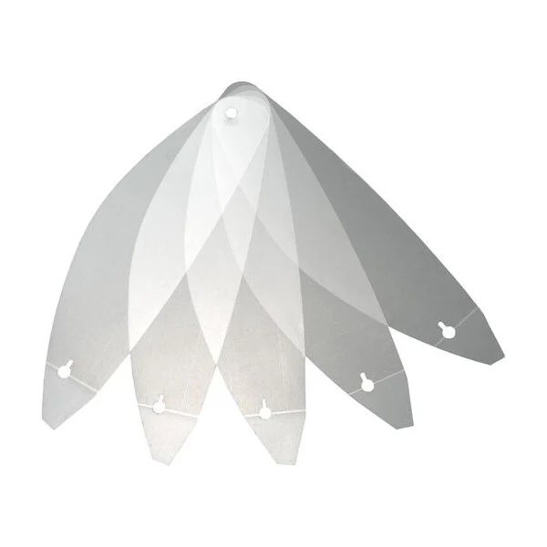 Pellicules Tear-Offs CWR-F2R Road Race