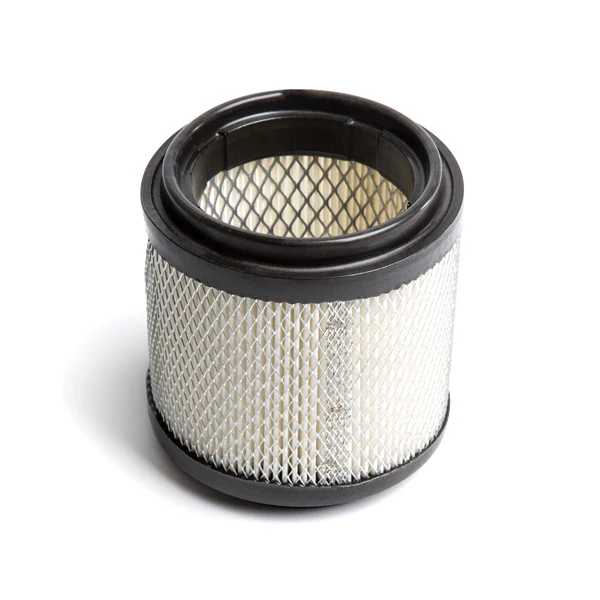 Remplacement OEM Filtre à Air - Image 18