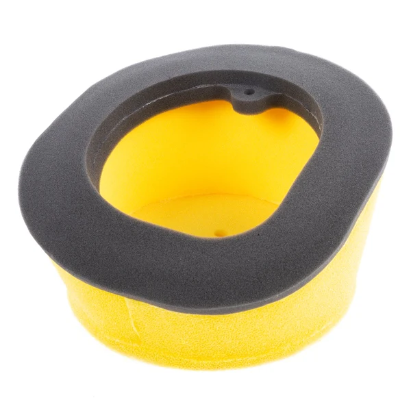 Remplacement OEM Filtre à Air - Image 24