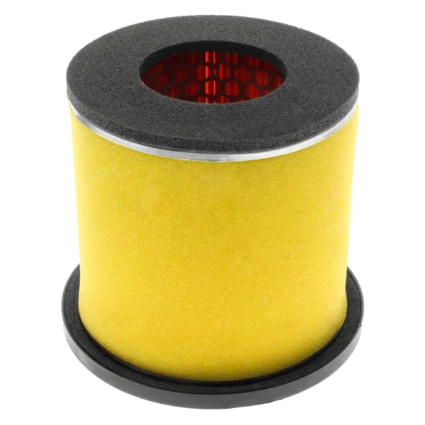 Remplacement OEM Filtre à Air - Image 6