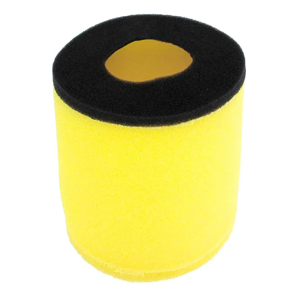 Remplacement OEM Filtre à Air - Image 8