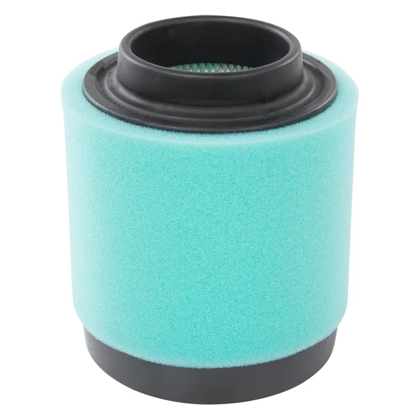 Remplacement OEM Filtre à Air - Image 9